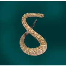 Mounting a snake on a commercial form