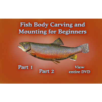 Fish Body Carving & Mounting for First Time Carvers