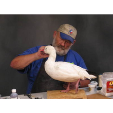 Mounting a Standing  Goose with Tony Finazzo