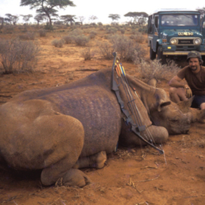 Rhino with a Bow 