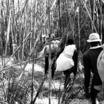 Guides carrying my gear in the bamboo forest