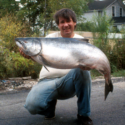 Lake Ontario Salmon 