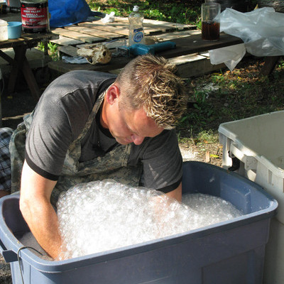 Bear skull