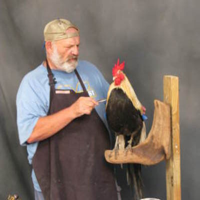 Rooster 1
