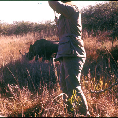 Rhino Moment of Truth