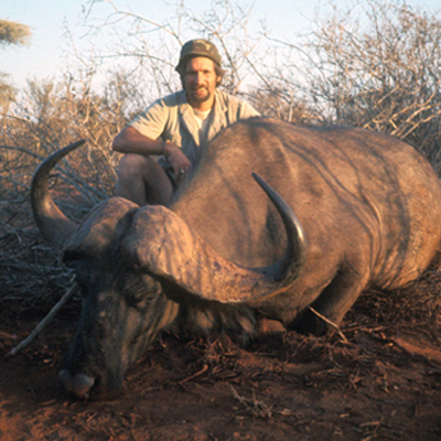 Cape Buffalo 2