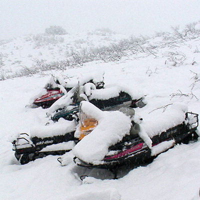 Overnight snow, a foot