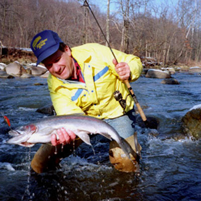 Rainbow Trout in Ohio stream