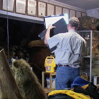 Getting the lighting set