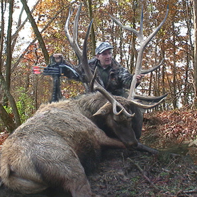 Joe's Elk