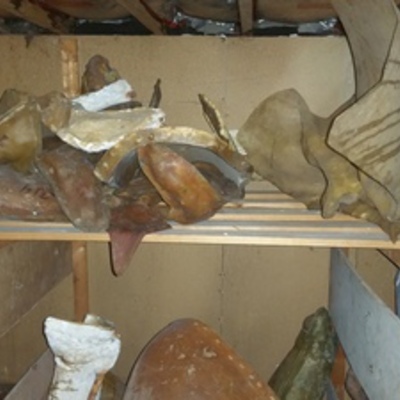 Molds 3