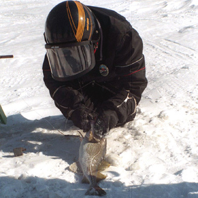 These fish freeze solid in minutes