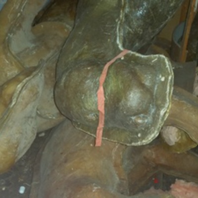 Lifesize molds, bears and African lions