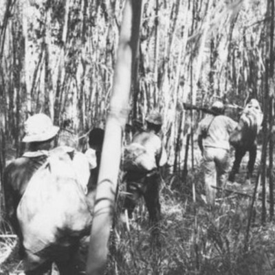 The long trek to the tree blind