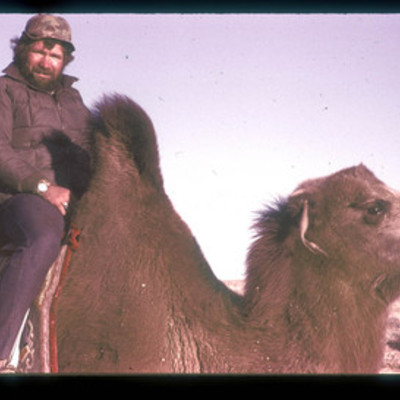 Kastaway on a camel