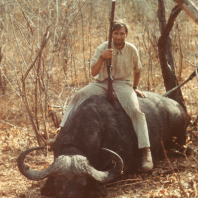 Cape Buffalo 7