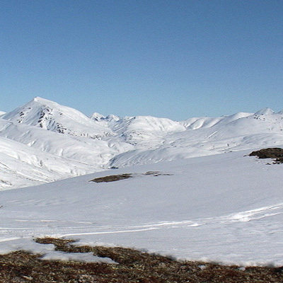 Scenery 7