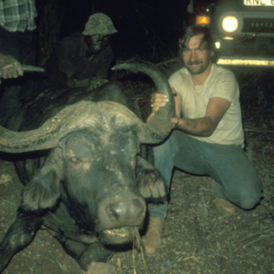 Cape Buffalo 5