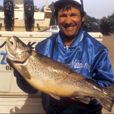 Lake Ontario Brown Trout