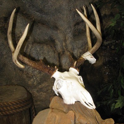Euro mount 1