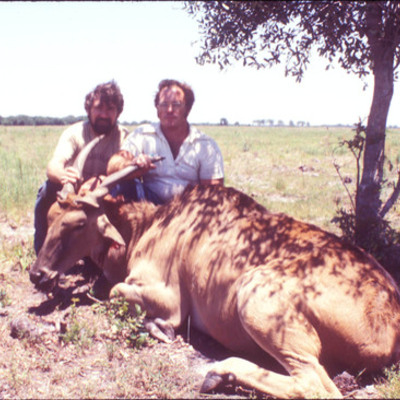 Eland