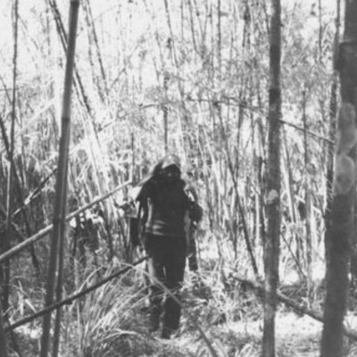 The long trek to the tree blind 2
