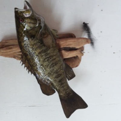 smallmouth 2015
