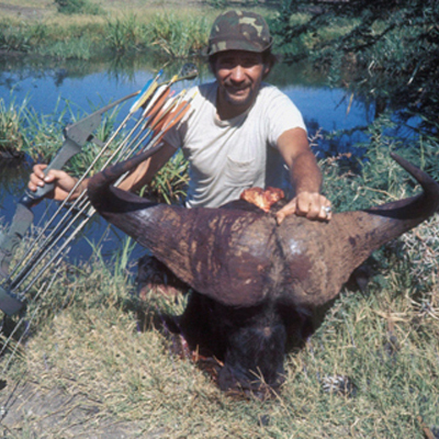 Cape Buffalo