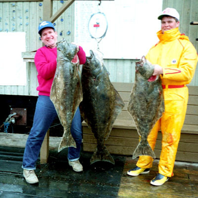 Halibut of British Columbia
