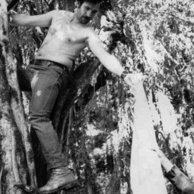 Stocking the tree blind