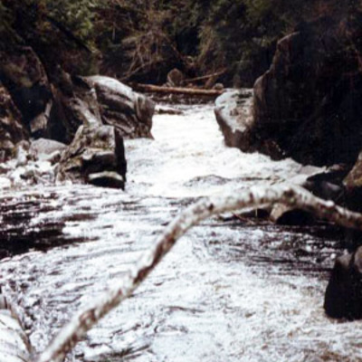 Grewat trout stream