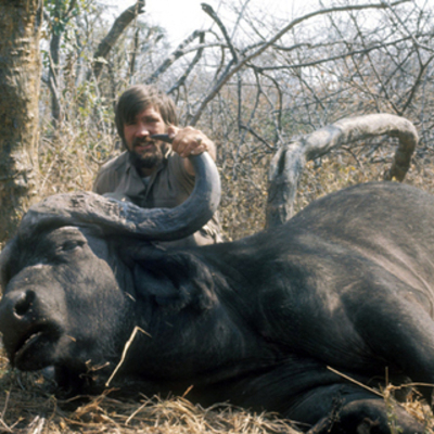Cape Buffalo 4